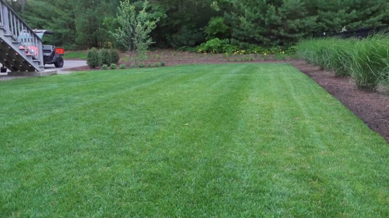 A Vibrant Garden Filled with Blooming Flowers, Lush Greenery, and A Wooden Fence, Showcasing a Space Revitalized Through Careful Landscaping and Nurturing