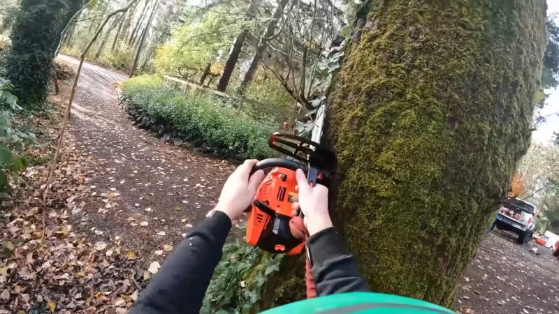 Arborist Holding a Chainsaw